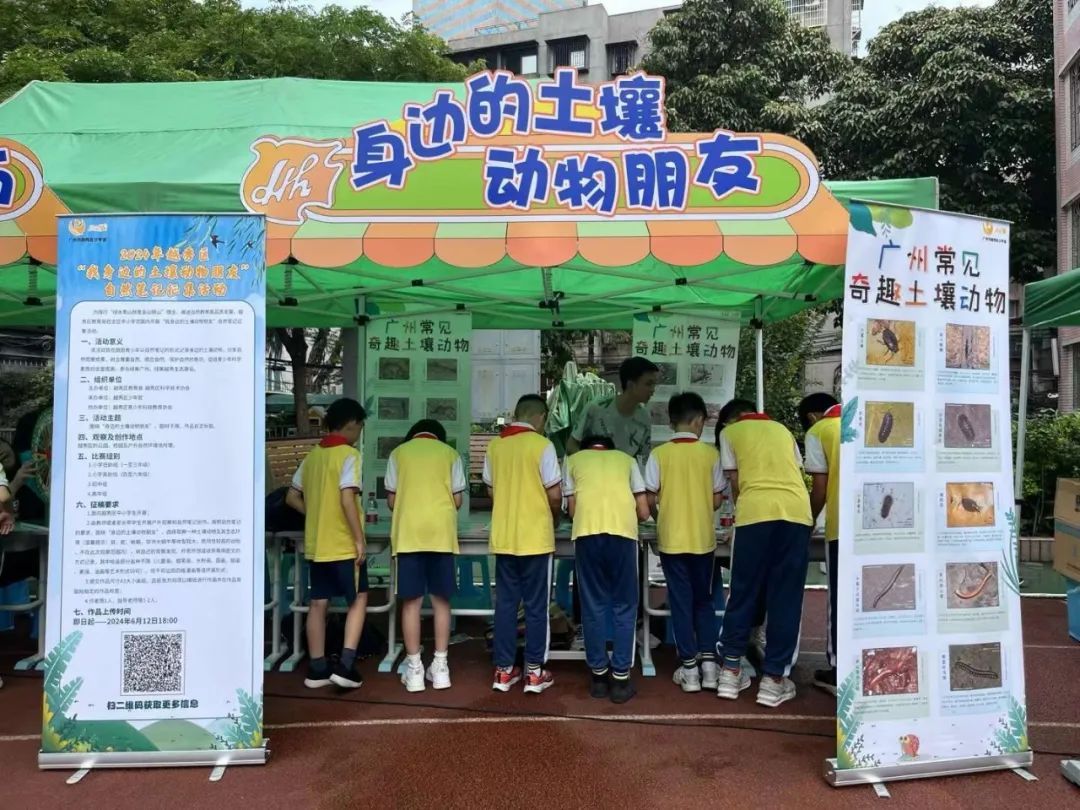 在黄花小学宣传土壤动物观察活动