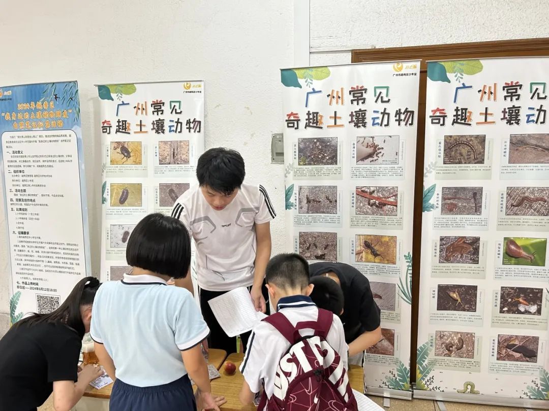 在越秀区少年宫大南校区开展活动
