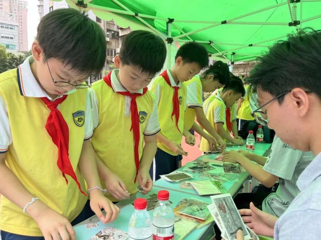 黄花小学学生参与活动