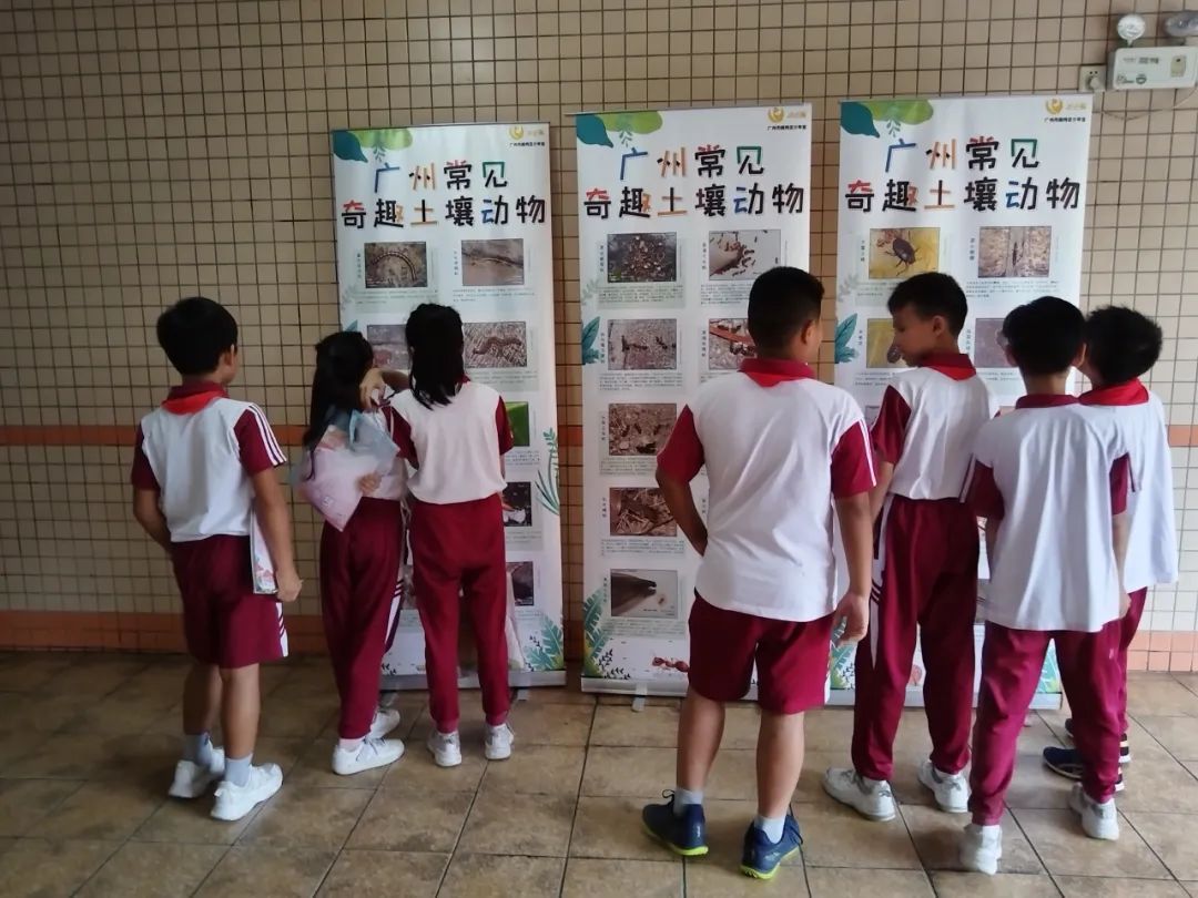 在华侨外国语学校开展活动