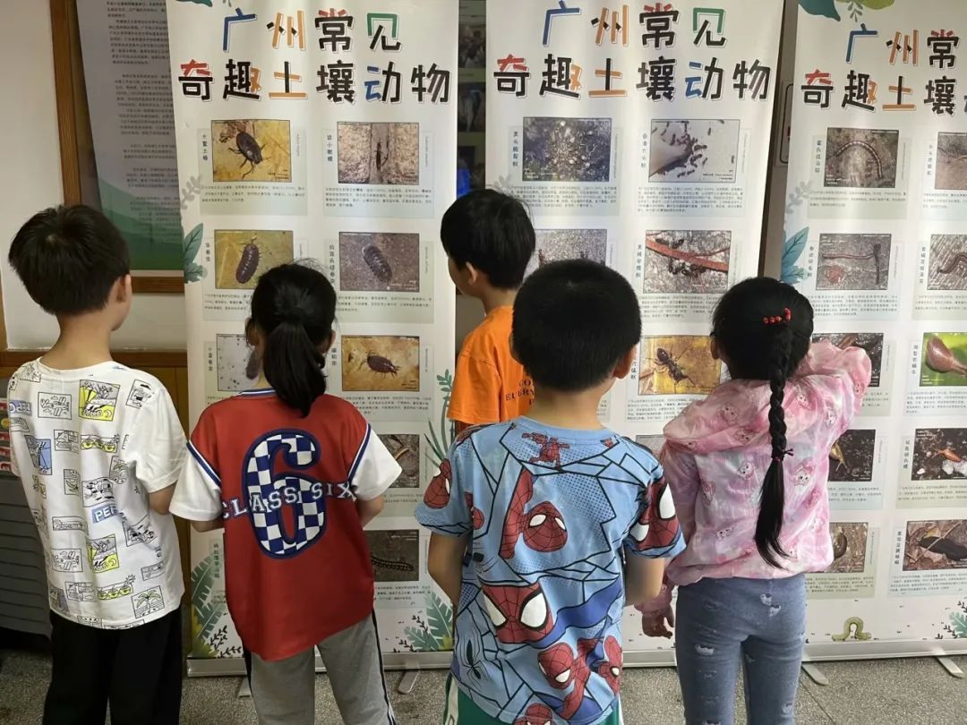 越秀区少年宫大南校区展示