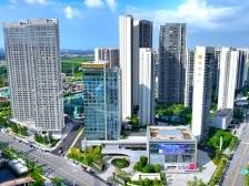 深中通道“满月”：深江同城进行时