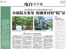 小庭院大变身 扮靓乡村好“院”景｜一文速览《南方日报·电白视窗》181期