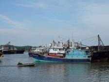 茂名博贺渔港经济区将全面动工建设，打造现代海洋经济发展重要阵地