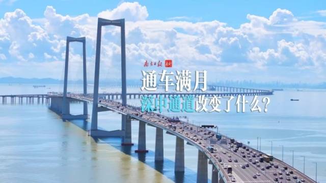 南方+视频｜通车满月，深中通道改变了什么？