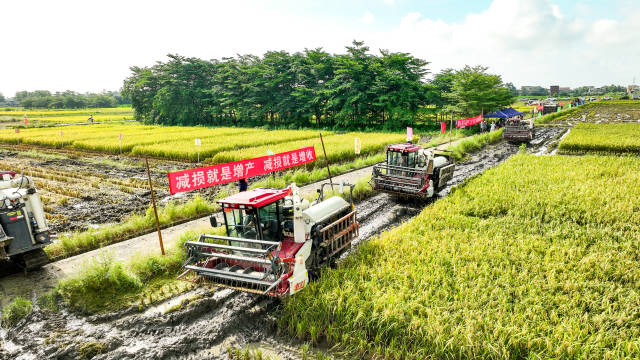 誉衡药业推高门槛激励停牌前机构精准买入