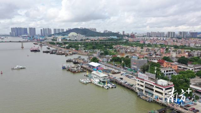 广州市番禺区莲花山中心渔港全景，也是本次演练活动的主会场。