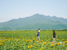 开平黎雄村：生态饭越吃越香｜江门典型村调研