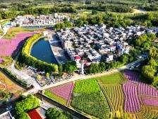 恩平横岗头村：美丽侨村走出富裕路｜江门典型村调研