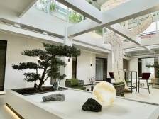 首批项目正式入驻！农文旅融合，南沙黄阁这样“出牌”