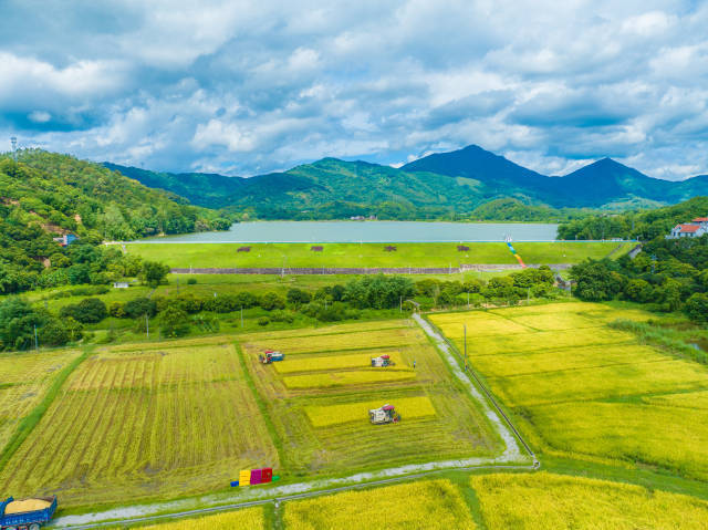 南方农村报 李嘉镓 制图