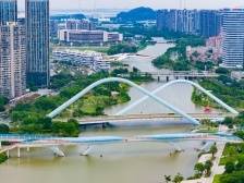 科研机构大咖齐聚，南沙传递重要发展信号