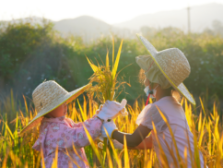 全网寻找最懂农事的你！广东农事小状元大赛即将启动