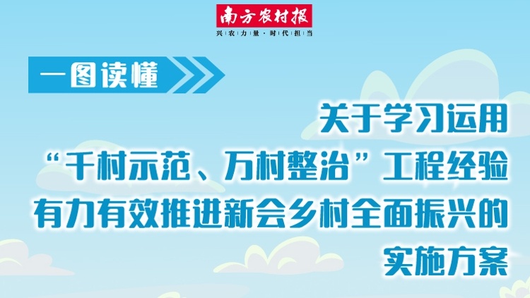 一圖讀懂！新會區(qū)學(xué)習(xí)運(yùn)用“千村示范,、萬村整治”工程經(jīng)驗有力有效推進(jìn)鄉(xiāng)村全面振興