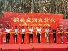 总投资1.7亿元！年出栏10万头生猪项目在韶关浈江犁市镇动工