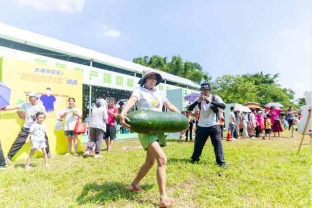 市民参与大塘冬瓜王之“我是大力士”挑战赛。