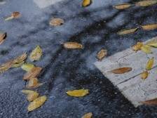 上海街心的普希金纪念碑