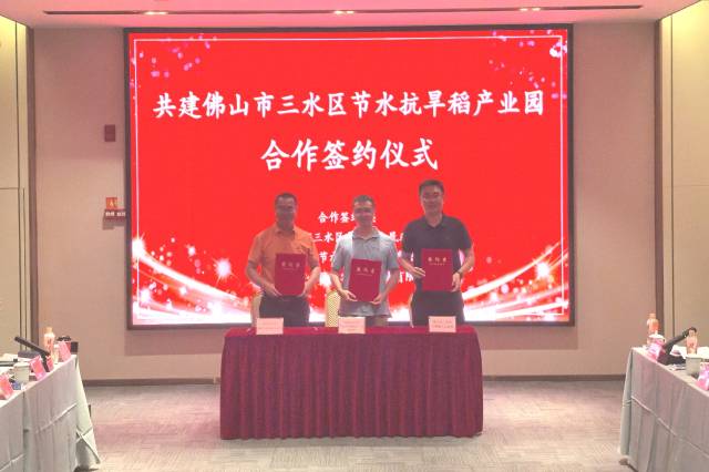 大塘镇人民政府、华南农业大学节水抗旱稻绿色产业研究院与澳农生态农业有限公司三方就成立“佛山节水抗旱稻产业园”签署框架协议。