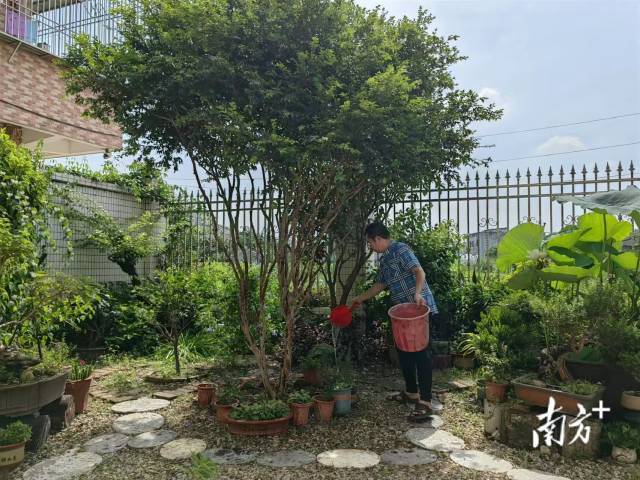 南方农村报 李嘉镓 制图