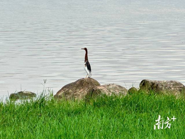 南方农村报 李嘉镓 制图