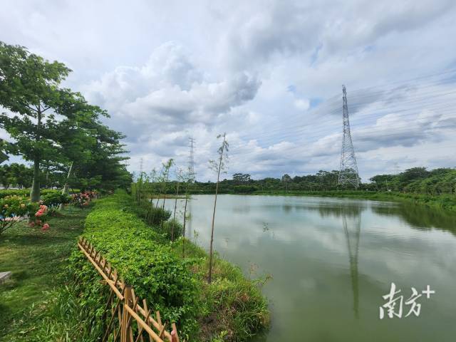 南方农村报 李嘉镓 制图