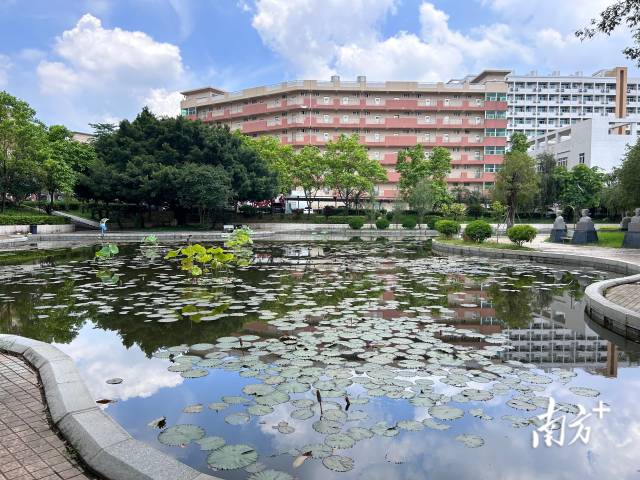 南方农村报 李嘉镓 制图