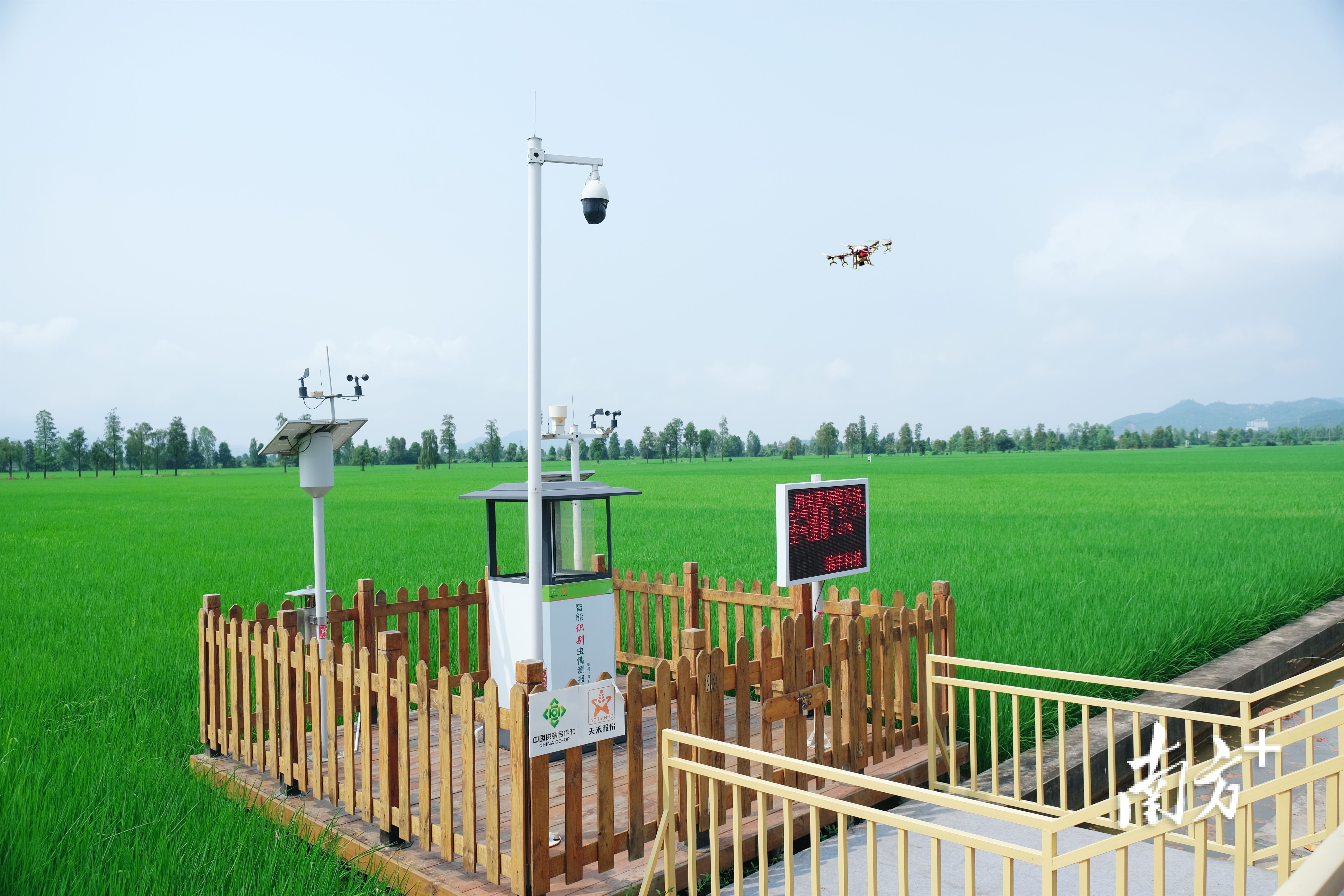 智能虫情测报系统。受访者供图