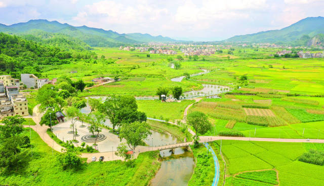 南方农村报 李嘉镓 制图