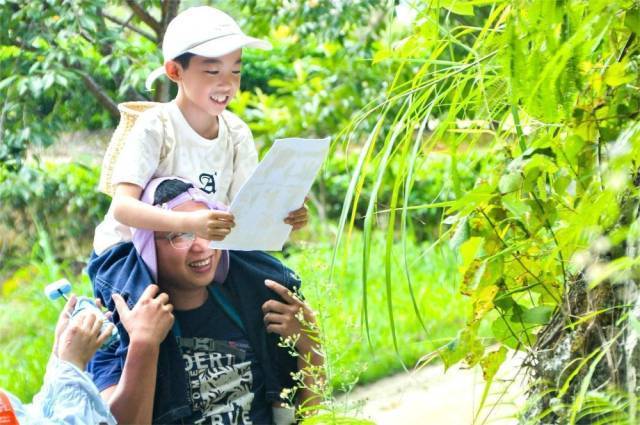 南方农村报 李嘉镓 制图