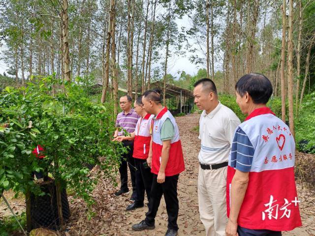 南方农村报 李嘉镓 制图