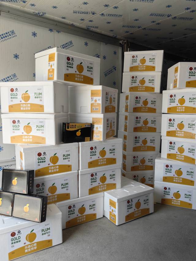 打包好待出口的黄金柰李。