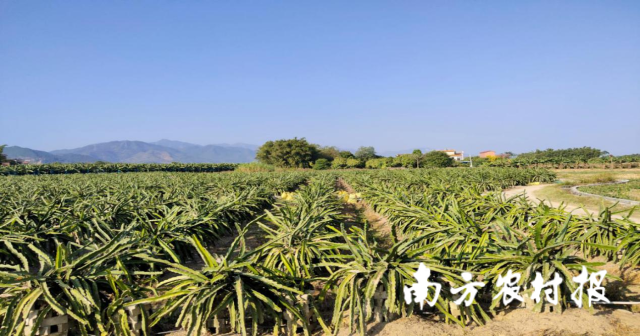 剑花基地。