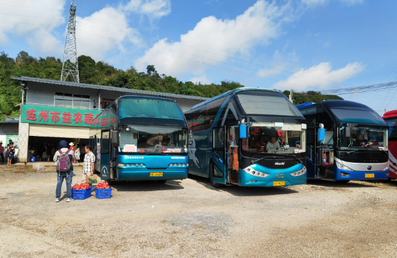 益农果场排汇游客置办、采摘连州水晶梨。