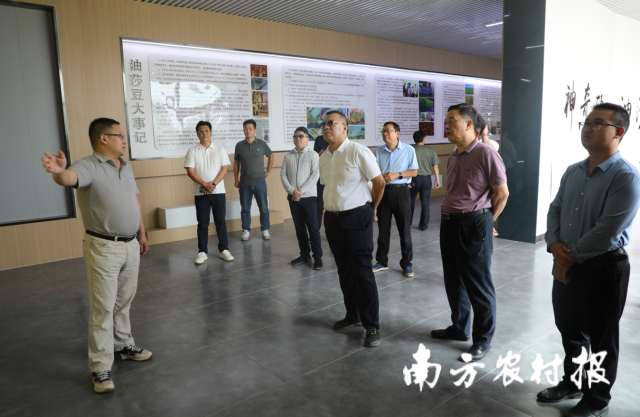 廣東省發(fā)展改革委調(diào)研組一行調(diào)研油莎豆產(chǎn)業(yè)發(fā)展情況,。