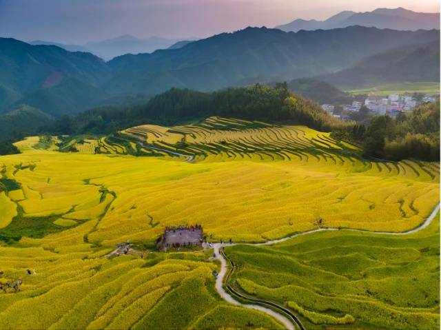 重要提醒！浙江高速扩大免费救援范围