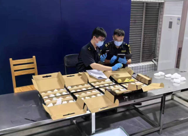 海关检查出口的乐昌黄金柰李。