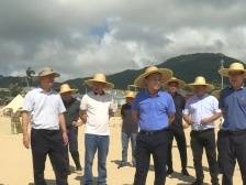 陈永禄检查海陵沙滩管理工作