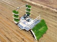 “慧”耕千亩地，桶养千尾鱼，东源新质农业提升百倍效率 | 新质向上 农业焕新