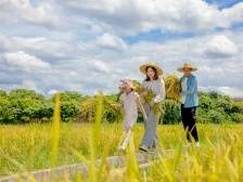 去乡野燃情一“夏”！2024年广东省第一届农事运动会8月份赛事抢先看