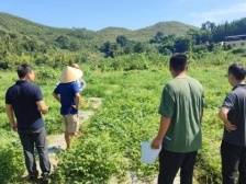 搭建“田长制”责任体系，韶关武江重阳镇这样确保每块耕地都有人管、有人护