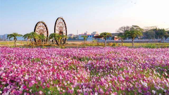 稻花香里邂逅左步之美丨“百千万工程”看文创