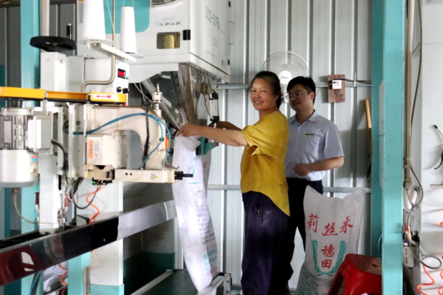 今年早稻丰收后，在邮储银行韶关市分行的资金支持下，南雄市冠奕通粮食加工有限公司将收购来的稻谷加工成大米并打包装箱。其生产的优质南雄丝苗米广受消费者欢迎，畅销全国各地。