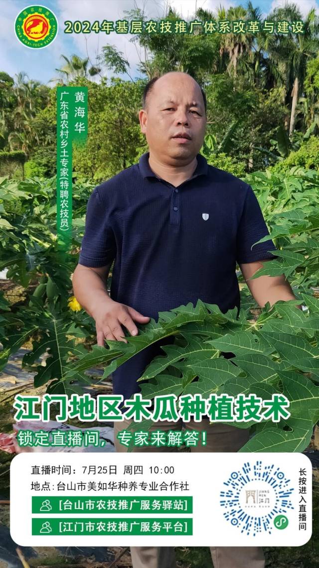 7月25日，台山市农技推广服务驿站在台山市美如华种养专业合作社，邀请广东省农村乡土专家——黄海华，开展“江门地区木瓜种植技术”的农业技术直播。