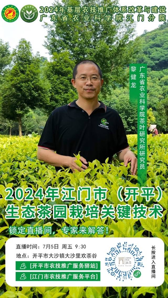 7月5日，在开平市大沙镇大沙里欢茶谷，邀请广东省农业科学院茶叶研究所研究院——黎健龙博士，开展“2024年江门市（开平）生态茶园栽培关键技术”的农业技术培训。