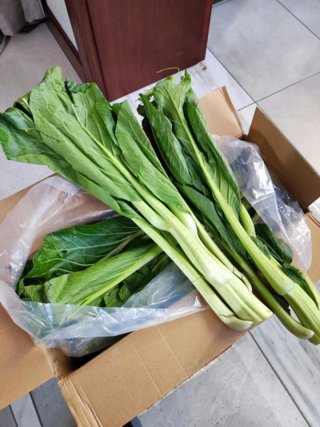 运输4天到达陕西宝鸡的连州菜心依旧新鲜。