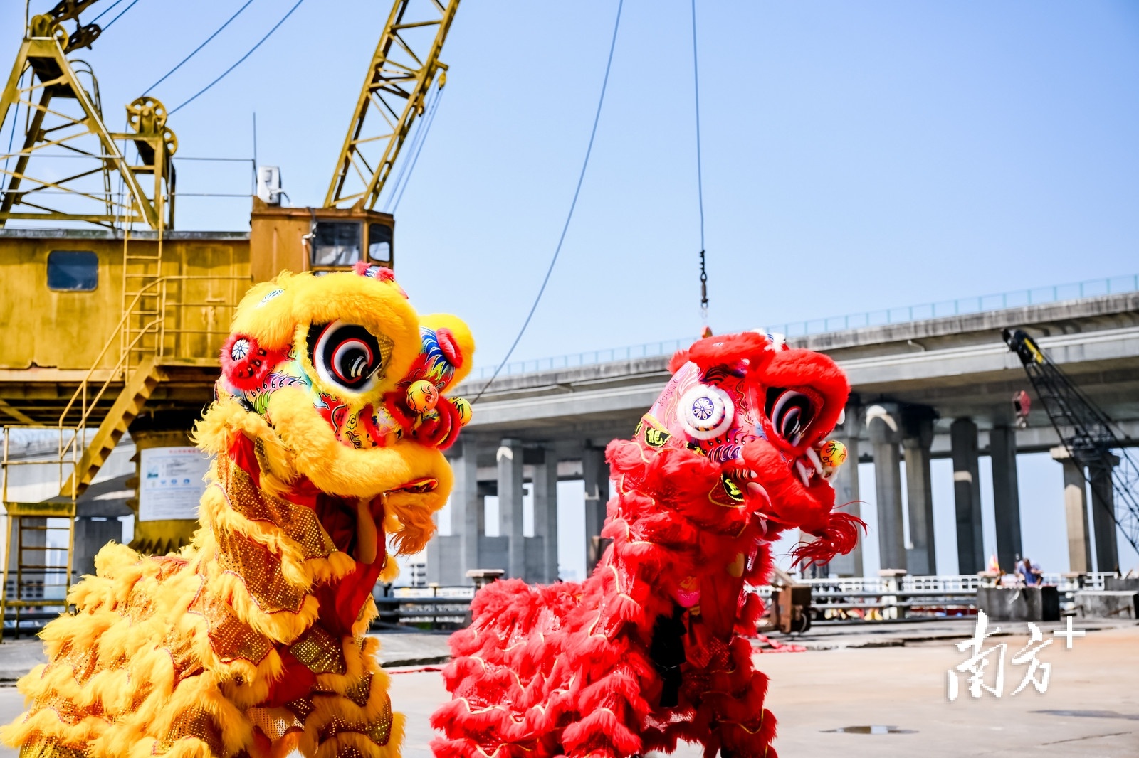 启动仪式现场进行了醒狮表演。