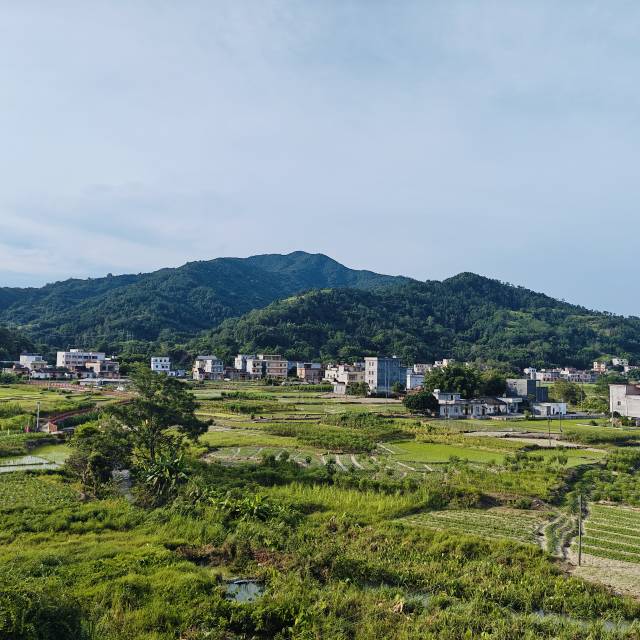 郭清的家乡沙坪村坐落在阳春市西北部的大山里。