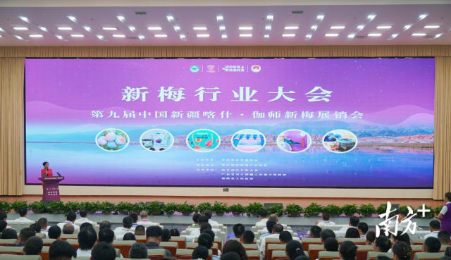 8月6日，新梅行业大会在伽师举行。