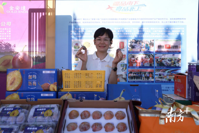 “疆品南下 粤品北上”展位上，企业负责人推荐伽师新梅。