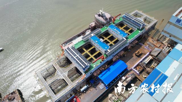 番禺持续放大“智造+智核”优势，加快海洋经济发展。